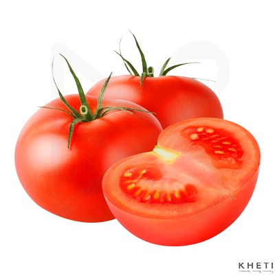 Salad Tomato